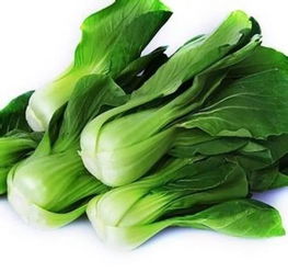 中貿(mào)批發(fā)市場(chǎng)蔬菜區(qū) 一站式采購(gòu)全縣最低價(jià)，基地直供綠色健康農(nóng)副產(chǎn)品