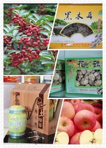 鳳縣旅游名片 青山綠水間的豐饒物產(chǎn)