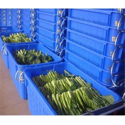 農(nóng)副產(chǎn)品誠(chéng)信企業(yè)精選 品質(zhì)與信譽(yù)的標(biāo)桿